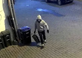 ‘Something just snapped’: New court docs detail Jan 6 pipe bomber’s stunning confession