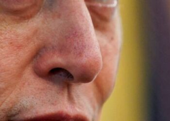 South African-born Elon Musk awkwardly rages over immigrants getting to vote