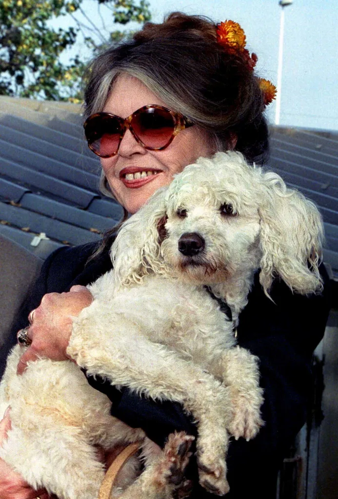 Brigitte Bardot holding a white poodle.