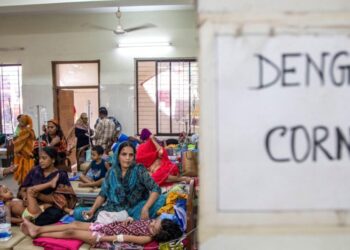 The biggest mosquito-borne disease in the world has a cure. There’s just one problem