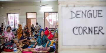 The biggest mosquito-borne disease in the world has a cure. There’s just one problem