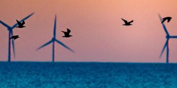 Trump’s war on windmills, briefly explained