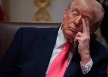 Is MAGA falling apart?