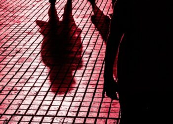 Grok Provides Extremely Detailed and Creepy Instructions for Stalking