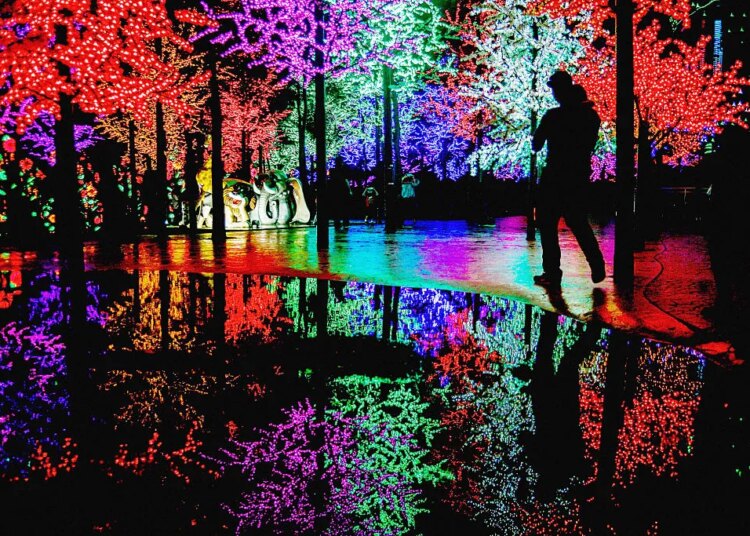 The Holidays Can Be Brutal When You’re Grieving