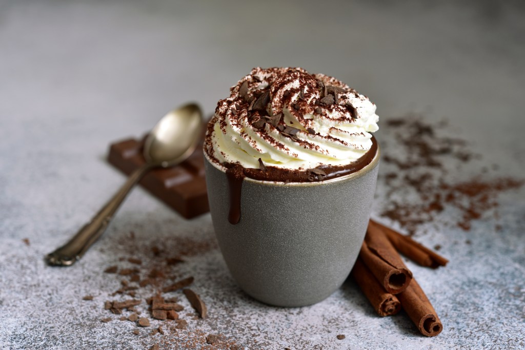 Homemade spicy hot chocolate with whipped cream, chocolate shavings, and cocoa powder in a mug.