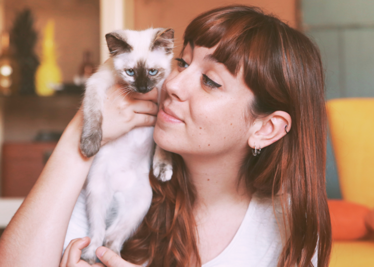 How to Communicate With Your Cat, According to Science