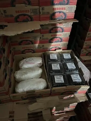 After a K-9 alerted officers to the odor of narcotics, agents searched the truck and recovered about 661 pounds of methamphetamine hidden among pallets of blackberries.