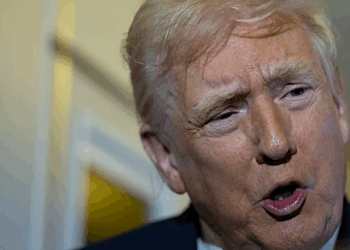 White House reporter marvels at unexpected Trump smear: ‘That’s what he said!’