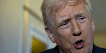 White House reporter marvels at unexpected Trump smear: ‘That’s what he said!’