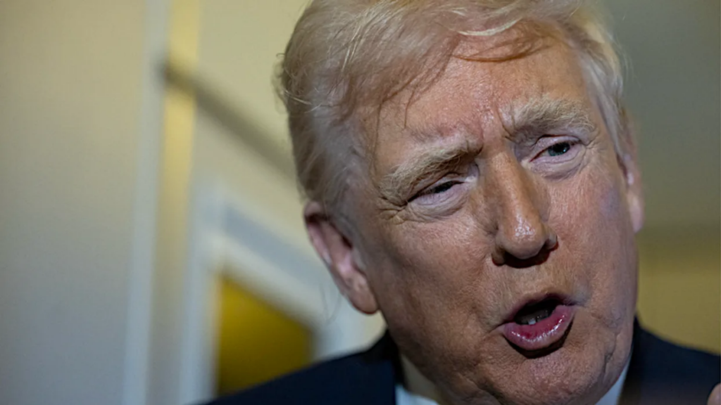 White House reporter marvels at unexpected Trump smear: ‘That’s what he said!’