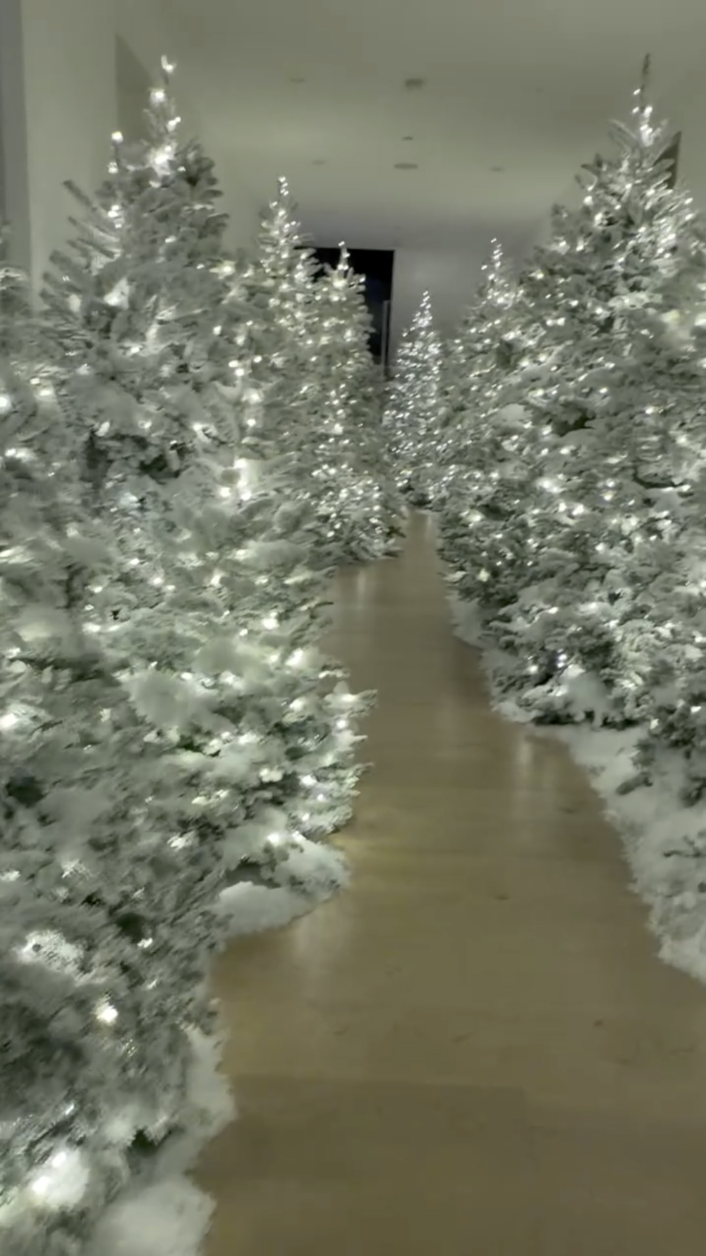 Kim Kardashian's Hallway decorated with numerous flocked Christmas trees lit with white lights.