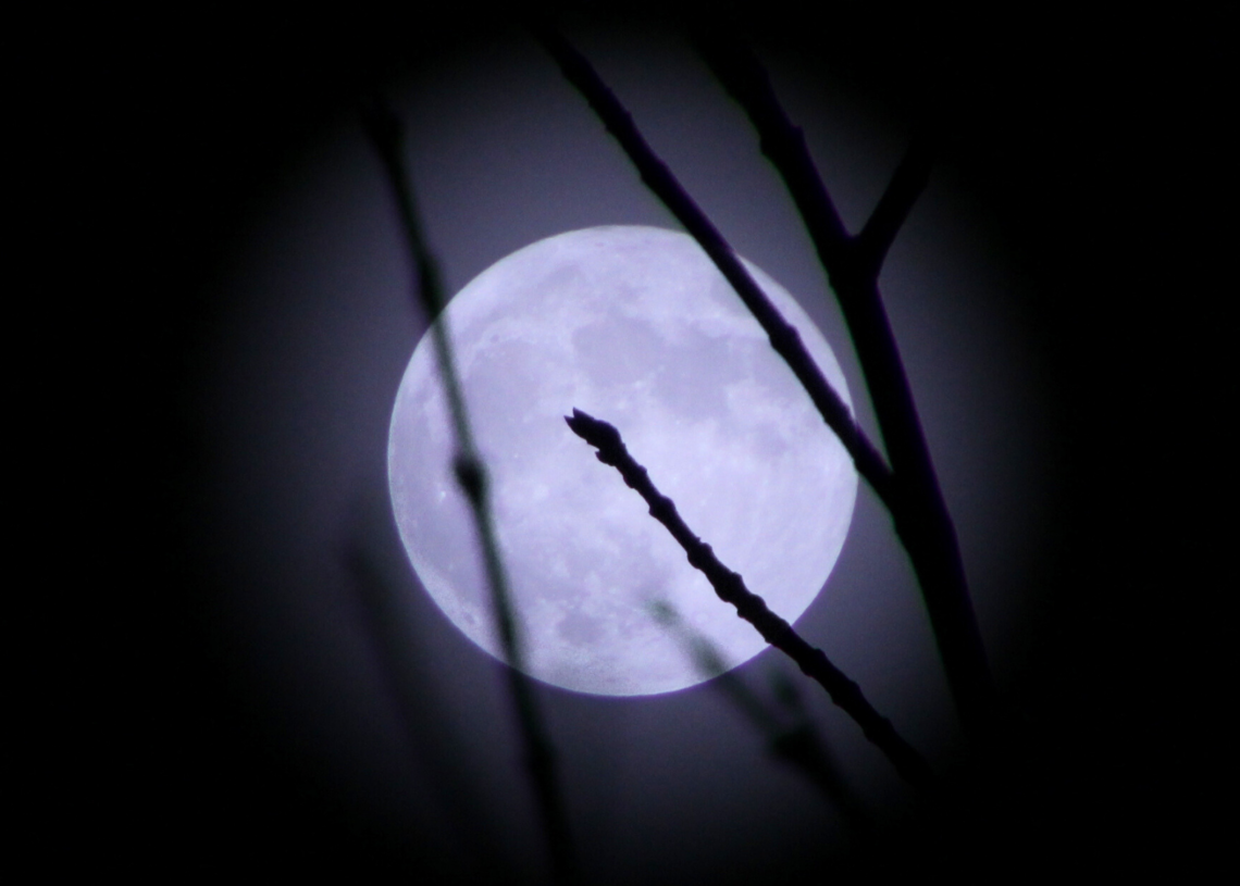 January’s Wolf Supermoon Will Offer the Perfect Start to the New Year