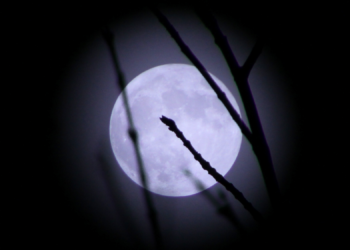 January’s Wolf Supermoon Will Offer the Perfect Start to the New Year