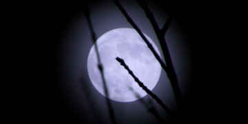 January’s Wolf Supermoon Will Offer the Perfect Start to the New Year