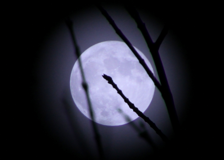 January’s Wolf Supermoon Will Offer the Perfect Start to the New Year