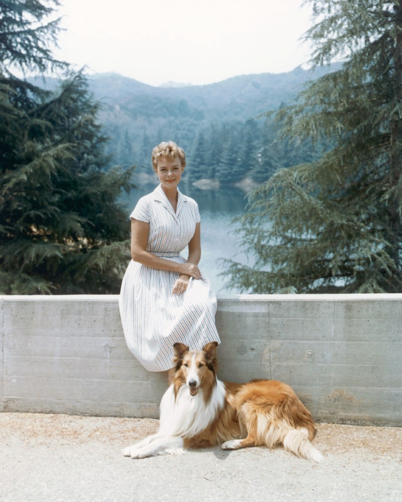 June Lockhart sitting on a wall with Lassie, a Rough Collie dog, for the TV series