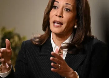 ‘Snapped’: Reporter claims Dem governor lost his cool over Kamala Harris’ ‘blatant lies’