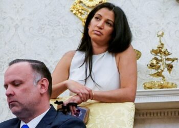 ‘Left-wing terror!’ Stephen Miller’s wife melts down over ‘abhorrent’ cartoon of him