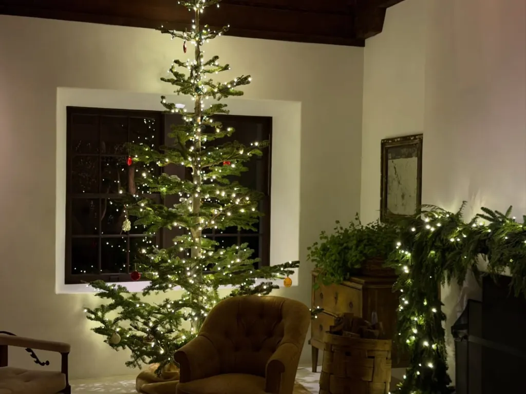 A Christmas tree lit with white lights stands in a room with a window.