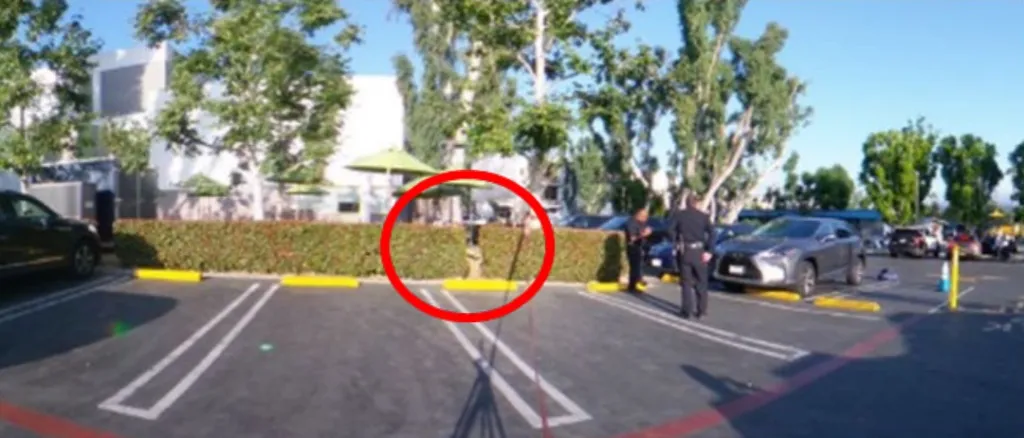 Law enforcement investigation photography showing a gap in a hedge through which students crossed to access the parking lot.