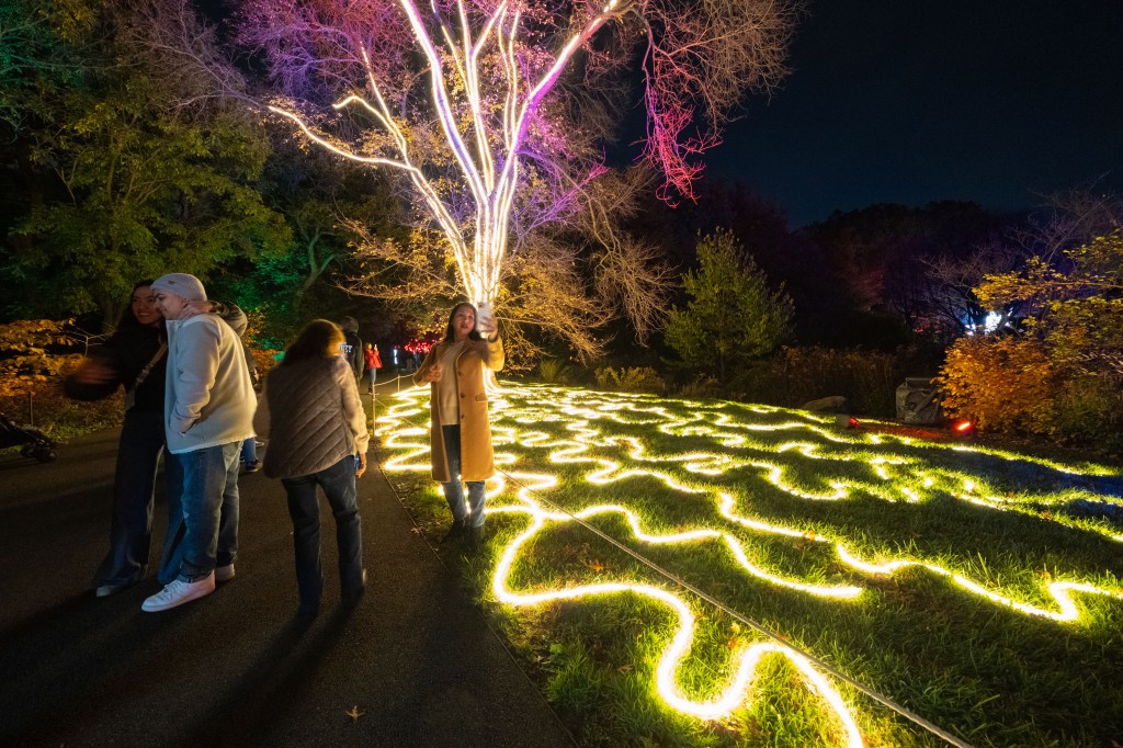 People viewing the Lightscape event at the Brooklyn Botanical Garden, featuring a tree wrapped in colorful lights and a pattern of lights on the grass.