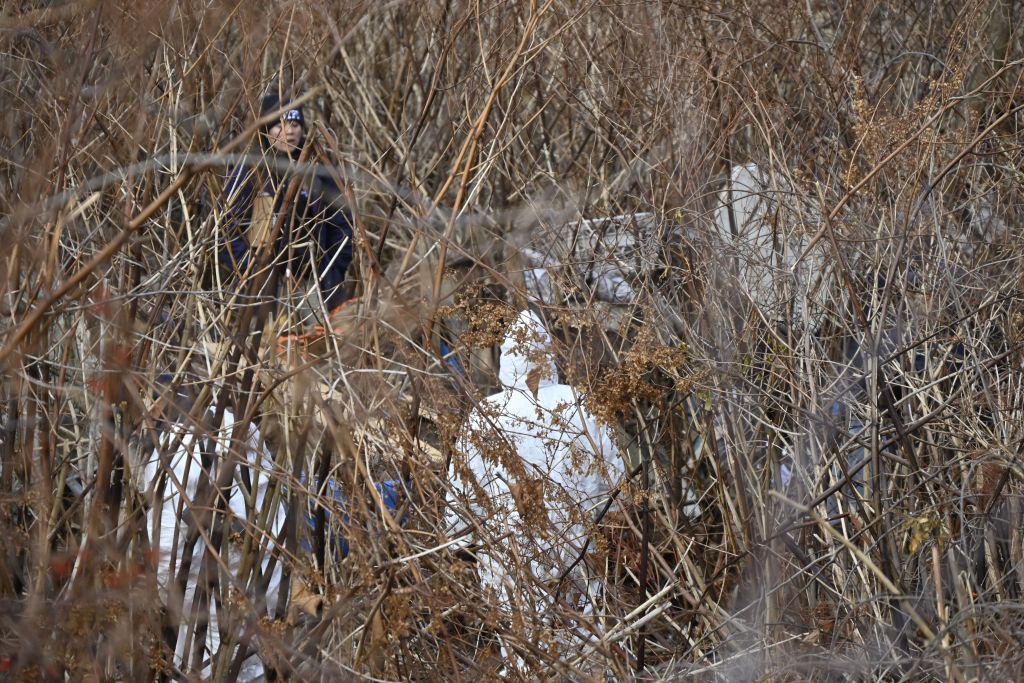 Forensic investigators working in thick brush where a skull was reportedly found in Brooklyn, New York.