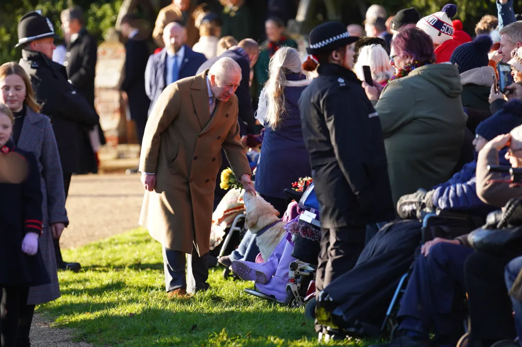 King Charles greeting a golden retriever with yellow flowers in its mouth at a Christmas service in Sandringham.