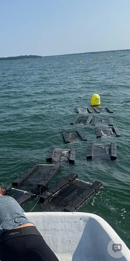 Oyster cages partially submerged in the water, seen from a boat.