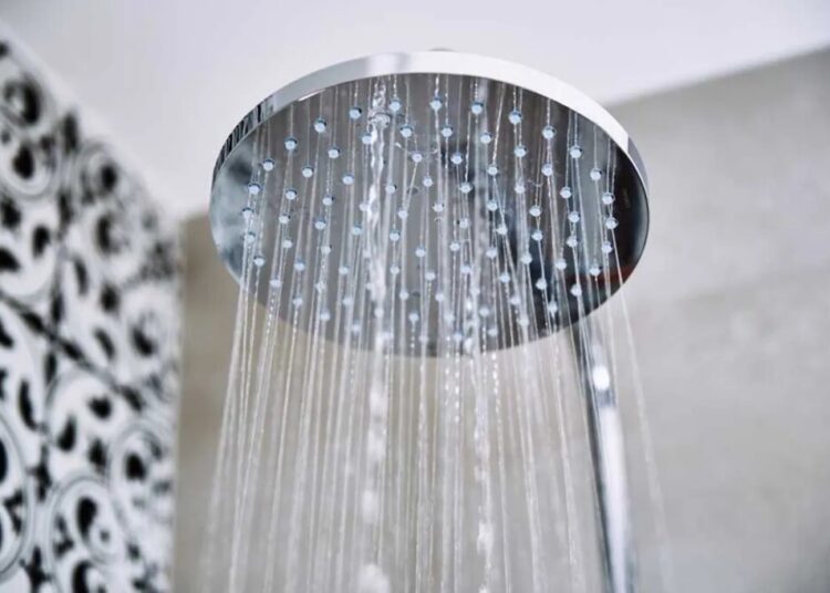 ‘Weak showers are for sad motels!’ MAGA lawmaker declares war on weak water pressure