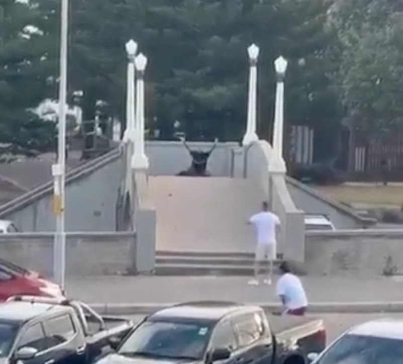 A man in a black shirt lying on a bridge with his hands raised, as other people run towards him.