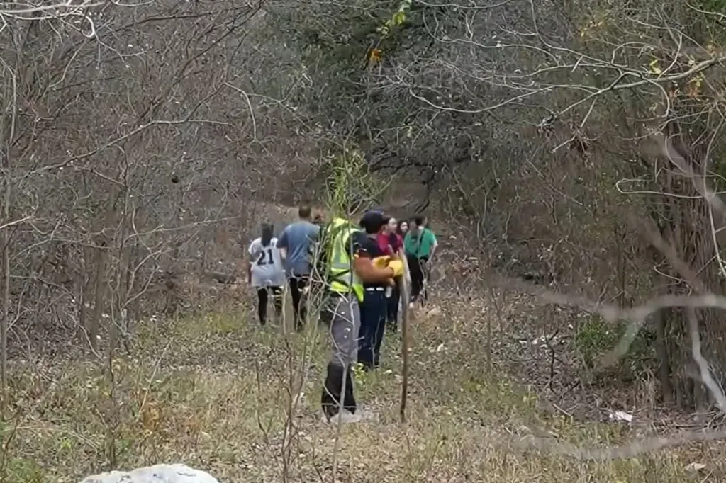 A search party walks through a wooded area after Camila Olmos went missing on what was believed to be her regular morning walk.