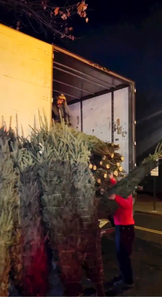 Two men unloading Christmas trees from a truck at night.