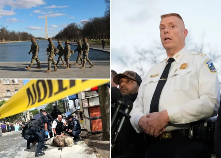 Jeffery Carroll named interim DC police chief days after scathing report claimed agency was fudging crime data