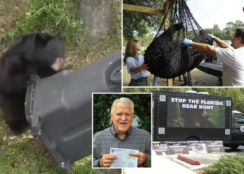 Florida kicks off first black bear hunt in a decade, despite pushback