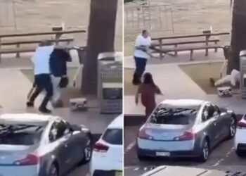 Incredible moment Bondi Beach hero disarms terrorist who opened fire on Hanukkah party