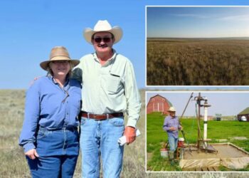 Montana rancher gives away $21.6M family cattle ranch rather than sell it off