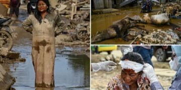 Indonesians seeking aid scramble over logs as flood deaths surpass 900