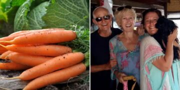 Family loses it over X-rated carrot meant to be cooked for Christmas dinner