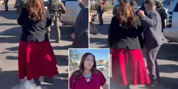 DHS fires back after Dem Rep. Adelita Grijalva claims she was ‘pushed aside and pepper sprayed’ during ICE raid