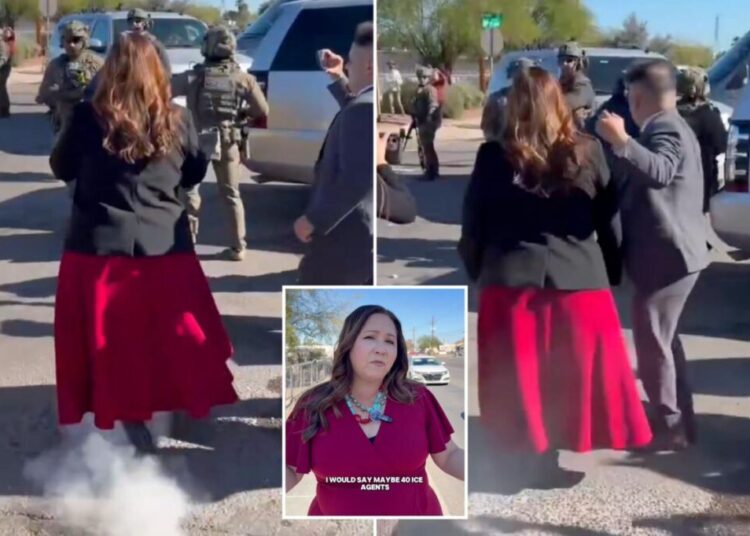 DHS fires back after Dem Rep. Adelita Grijalva claims she was ‘pushed aside and pepper sprayed’ during ICE raid