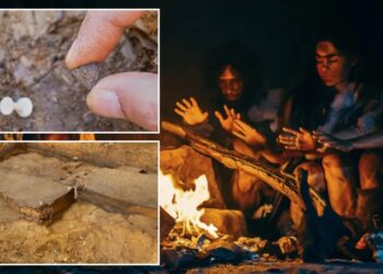 Timeline of human’s discovery of fire shattered with 400,000-year-old revelation