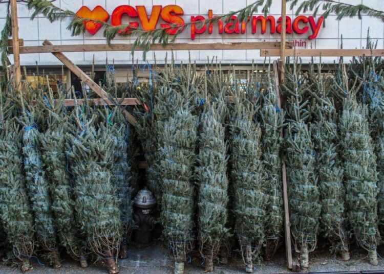 Christmas tree-seller explains why it’s such a cutthroat business