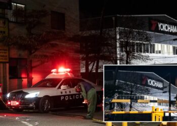 At least 15 injured in stabbing and chemical attack at factory in Japan