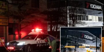 At least 15 injured in stabbing and chemical attack at factory in Japan