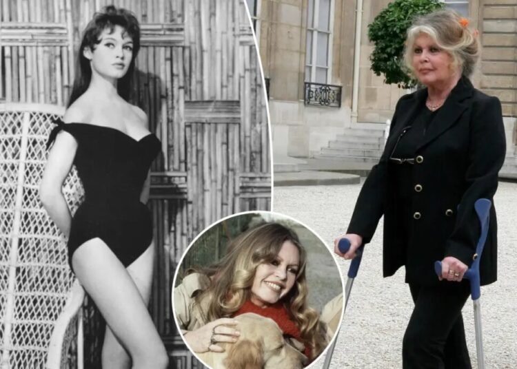 Brigitte Bardot, 1960s sultry sex symbol turned militant animal rights activist, dead at 91