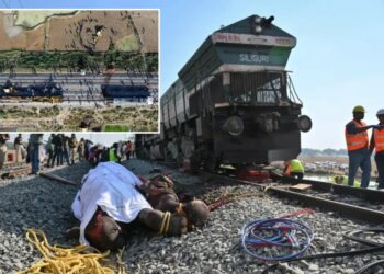 7 elephants killed after high-speed train collides with massive herd crossing railroad tracks