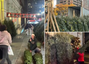 Little-known ‘Christmas Tree Law’ bans sidewalk sales in NYC before this date – but it hasn’t stopped a flurry of early sales