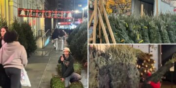 Little-known ‘Christmas Tree Law’ bans sidewalk sales in NYC before this date – but it hasn’t stopped a flurry of early sales