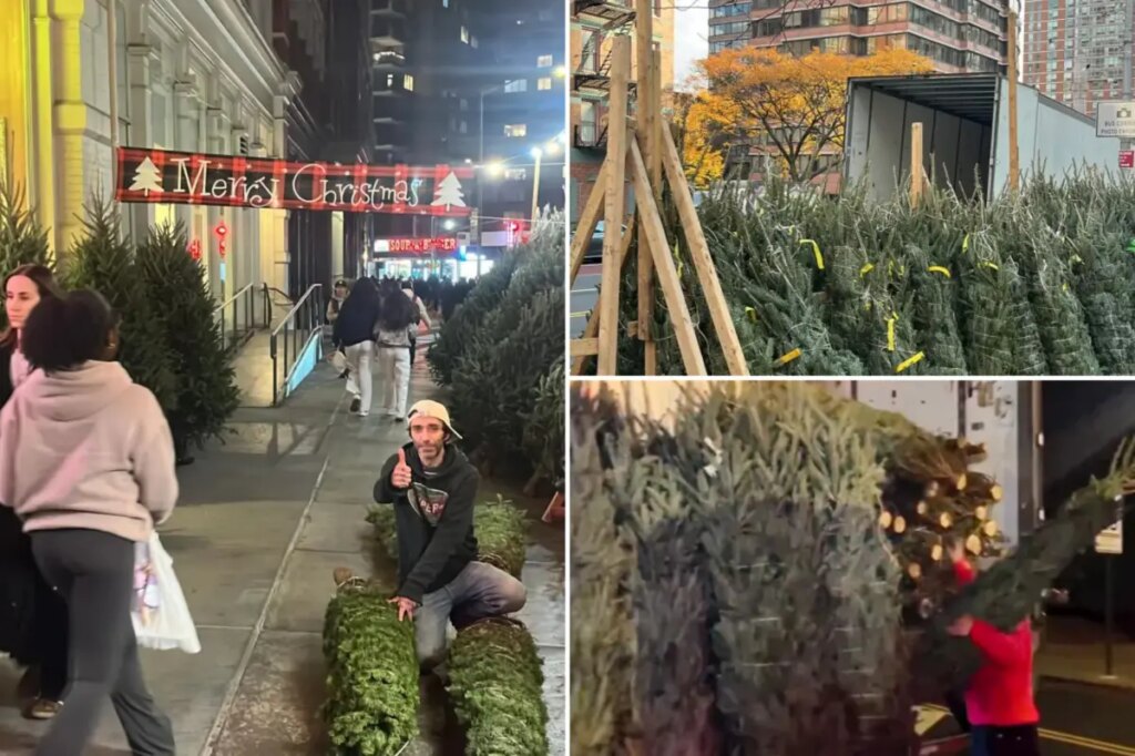 Little-known ‘Christmas Tree Law’ bans sidewalk sales in NYC before this date – but it hasn’t stopped a flurry of early sales